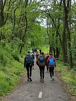 Pochodníci mezi Mezném a Jesenicí (2024)