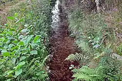 Před soutokem se Svatavou