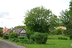 Pohled na část vesnice