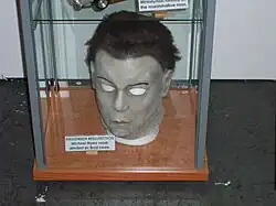 Maska Michaela Myerse