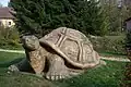 Socha želvy