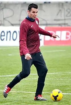 M. Pospíšil (2013)