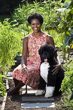 Michelle Obama with Bo official portrait