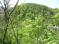 pohled na Tyršův vrch z Bohdalce