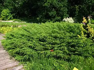 alternativní popis obrázku chybí