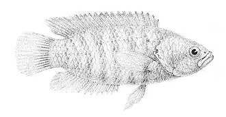 alternativní popis obrázku chybí