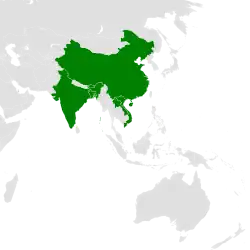 Areál rozšíření