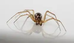 alternativní popis obrázku chybí