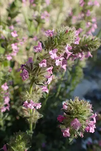 alternativní popis obrázku chybí