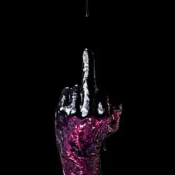 Nakayubi (Prostředníček) ze série KURO NI KURO (japonsky Černá na černé), 2016