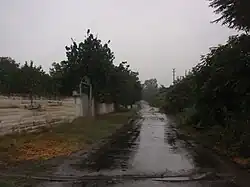 Chátrající Mindživan (2011)