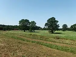 Přírodní park Mikulčický luh