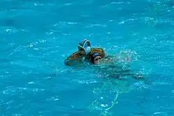 Milan Aleksić (31. července 2012)