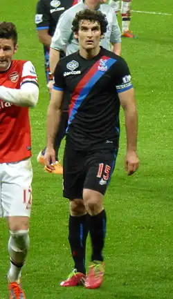 Mile Jedinak (2014)