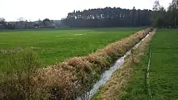 Miletínský potok oddělující Horní a Dolní Miletín