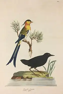 alternativní popis obrázku chybí