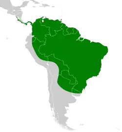 Areál rozšíření