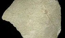 Diatomit z oblasti Zvolenské kotliny na Slovensku