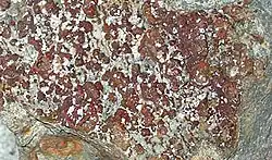 Lepidokrokit ze Zlaté Baně ve Slovenském rudohoří