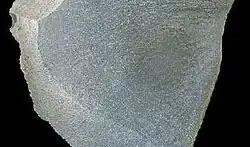 Jílovec z oblasti Ružomberku ve Velké Fatře