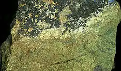 Olivenit z lokality Špania Dolina na Slovensku