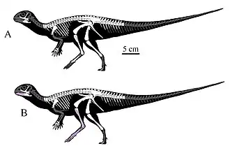 alternativní popis obrázku chybí