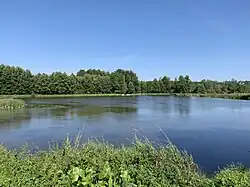 Řeka Minina v Dąbrówce