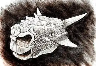 alternativní popis obrázku chybí