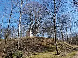 Mirošov - tvrziště Dvorec (Purk) (1).jpg