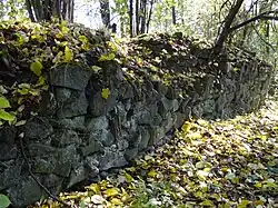 Mirošovice - pozůstatky hradu Ježov (3).jpg