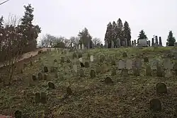 Celkový pohled na hřbitov