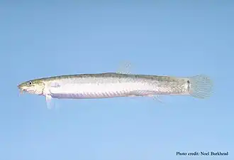 popis obrázku chybí