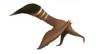 alternativní popis obrázku chybí