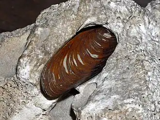 alternativní popis obrázku chybí