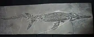 alternativní popis obrázku chybí