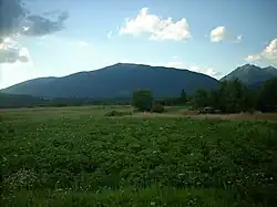 Mládky z Liptovské kotliny