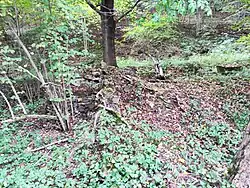 ruiny základů mlýna Lhota