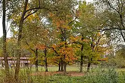 Mlýnek tvrziště (1).jpg