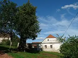 Mladovická lípa u čp. 6