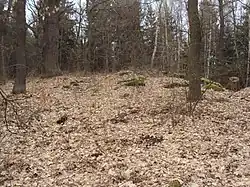 Vrcholová plošina Mnišské hory