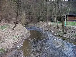 Mnichovka před ústím do Sázavy