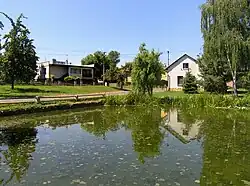Rybník na návsi ve Lhoticích
