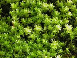 alternativní popis obrázku chybí