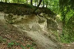 Stěna bývalého lomu