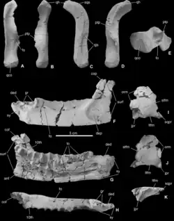 alternativní popis obrázku chybí