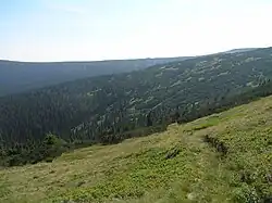 Liščí hřeben v pozadí od Modrého dolu