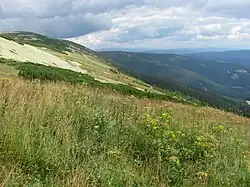 Pohled z cesty od Výrovky na Luční boudu směrem do Modrého dolu