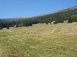 Modrý důl směrem k Luční hoře