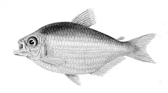 alternativní popis obrázku chybí