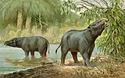 alternativní popis obrázku chybí